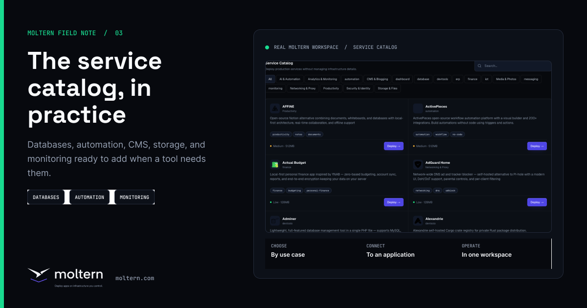 Cover for Service Catalog Use Cases: PostgreSQL, Redis, n8n, Gitea, Ghost, and Grafana on Moltern