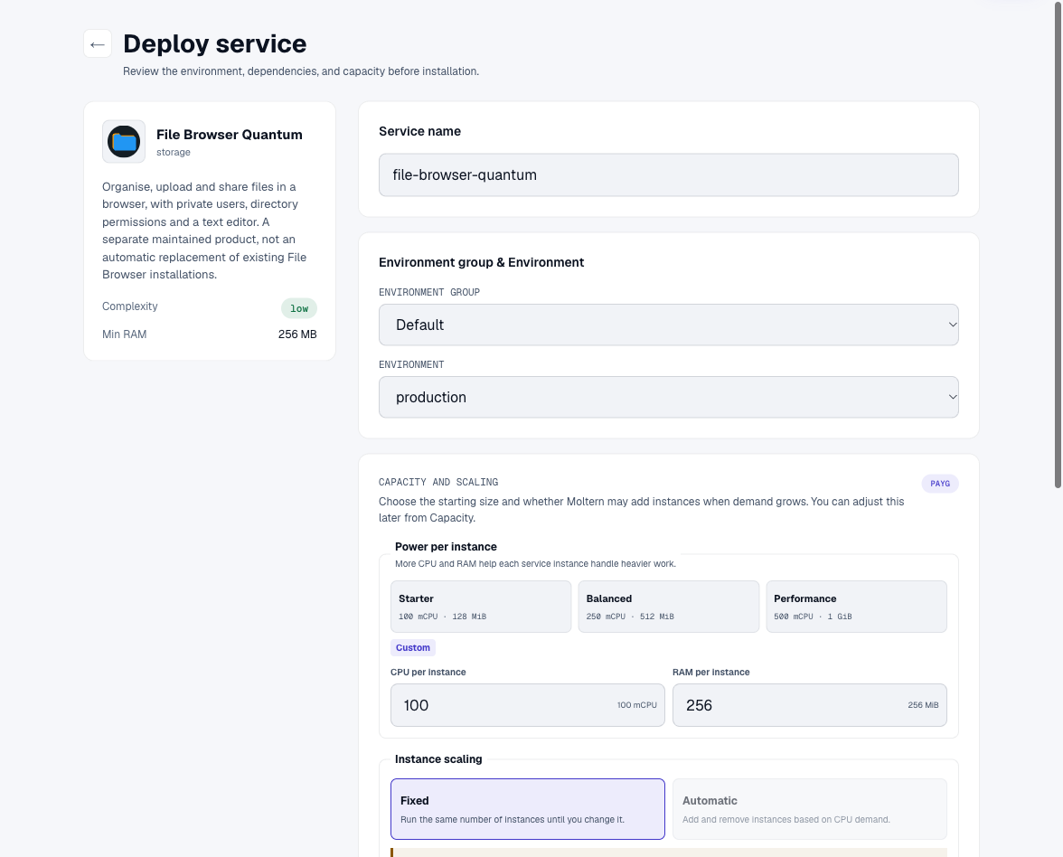 Choosing the File Browser Quantum environment and initial capacity in Moltern