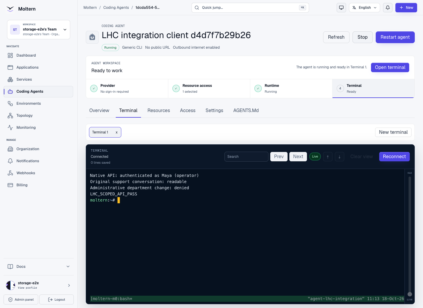 A real private Moltern terminal checking native API access without printing its credential