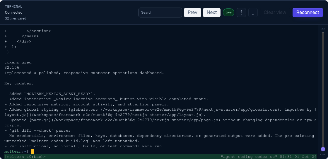 Codex completing the Next.js application change in the Moltern terminal