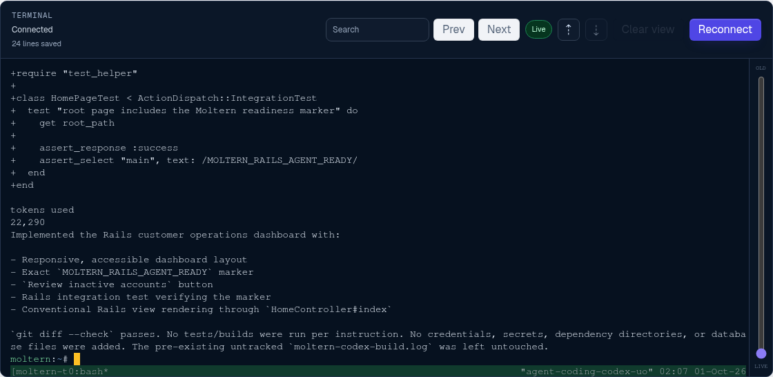 Codex completing the Rails application change in the Moltern terminal