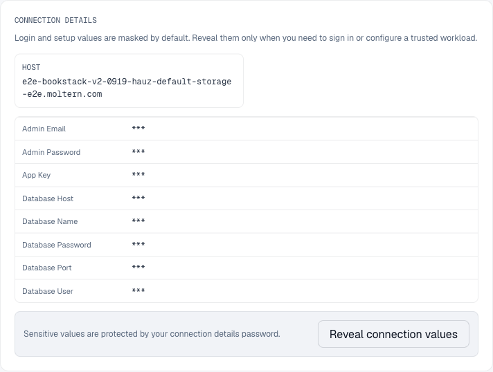 BookStack connection details masked in Moltern settings