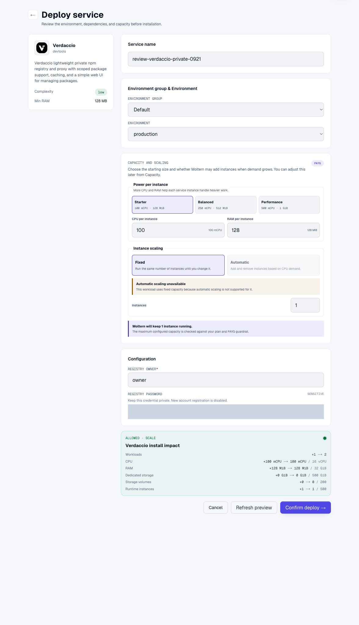 Real Verdaccio deployment preview with the registry password concealed