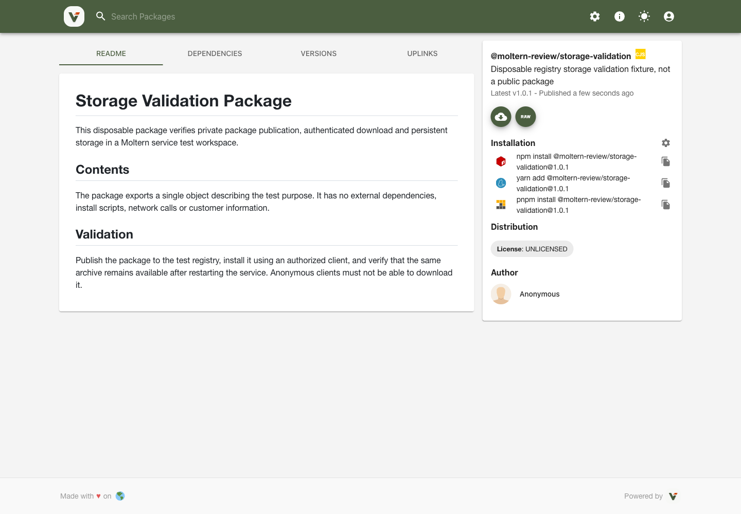 A package actually published to the corrected Verdaccio registry, with its README and install instructions