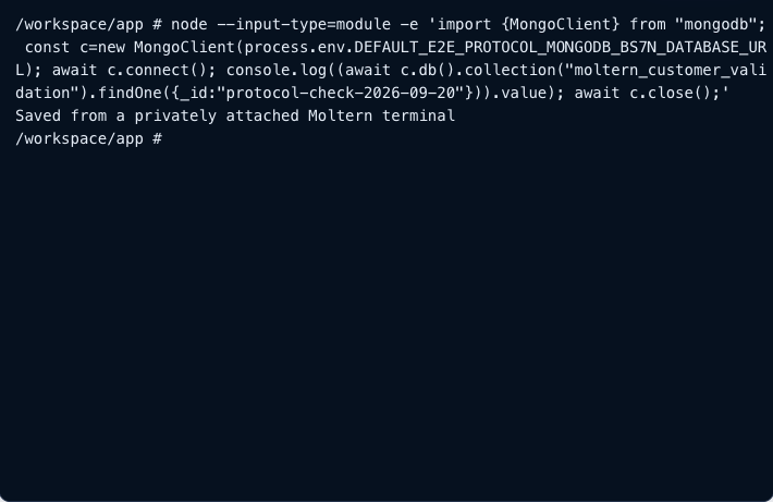 Reading the previously saved document after the MongoDB runtime was replaced