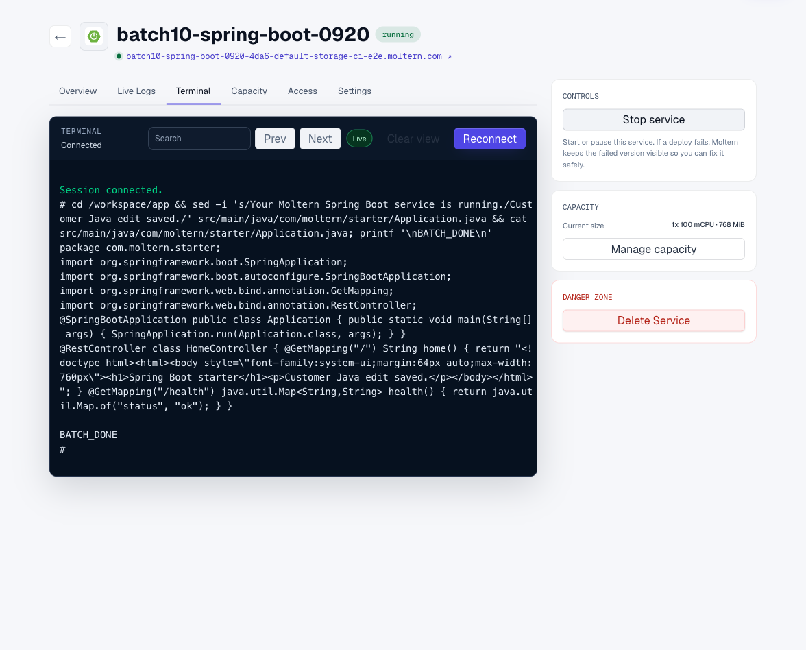 Editing a real Spring Boot controller in the Moltern terminal