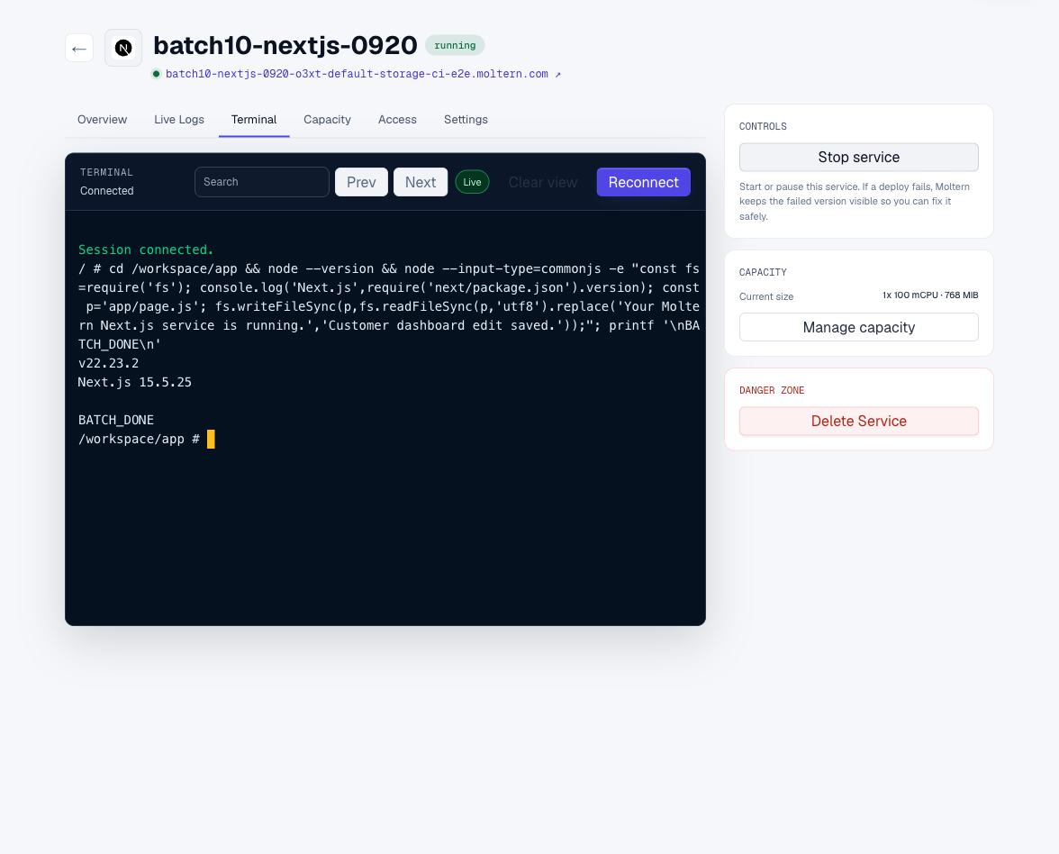 Editing the Next.js page through the Moltern terminal