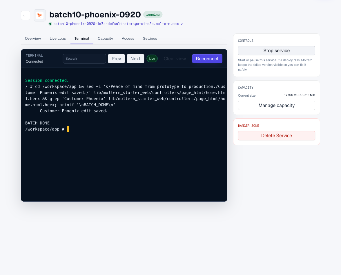 A source edit in the real Moltern terminal