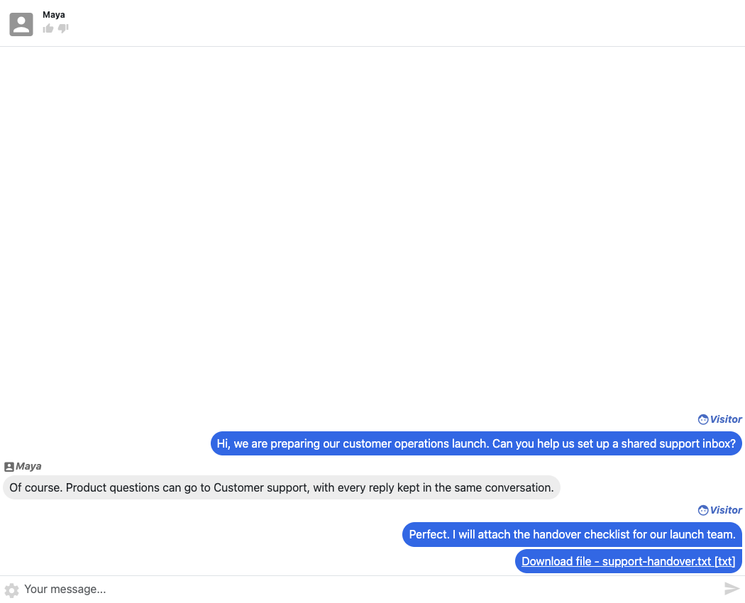 A visitor asking a support question in the actual chat interface